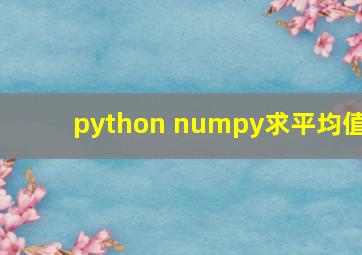 python numpy求平均值